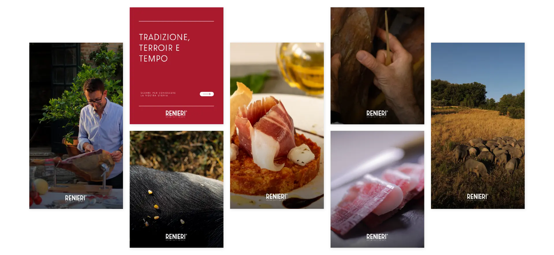 Renieri immagine centrale portfolio